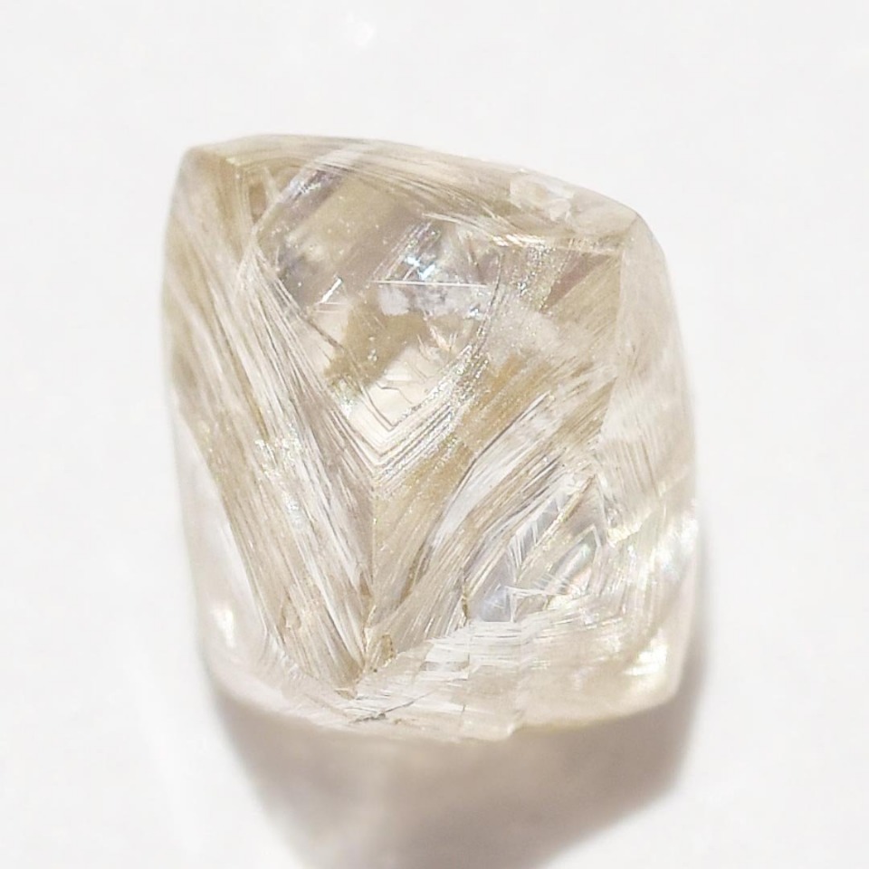 Rose diamonds Images
